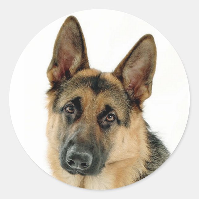 Deutsche Schäferhunde Welpenhundekleber / Labels Runder Aufkleber (Vorderseite)