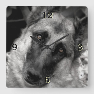 Deutsche Schäferhütte-Foto-Uhr Quadratische Wanduhr