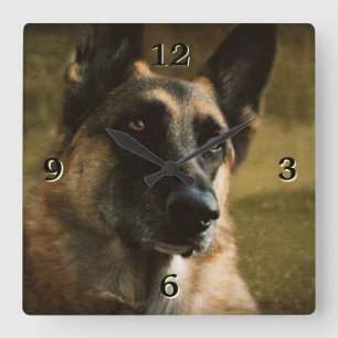 Deutsche Schäferhütte-Foto-Uhr Quadratische Wanduhr