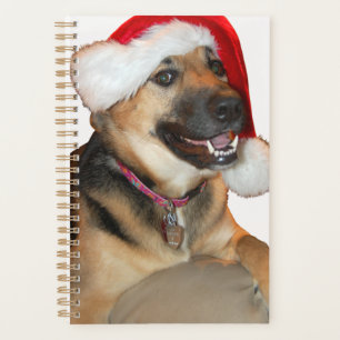 Deutsche Schäferin mit einem Weihnachtsmann-Hut Planer