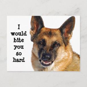 Deutsche Schäferpostkarte Postkarte