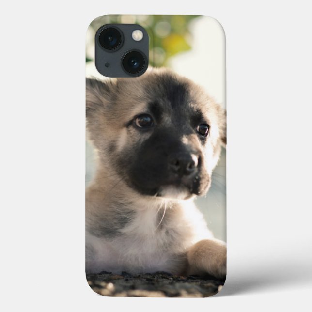Deutsche Schäferwelpe über Lecke Case-Mate iPhone Hülle (Rückseite)