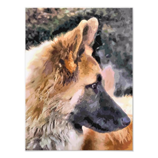 DEUTSCHE SHEPHERD DOG FOTODRUCK (Vorne)