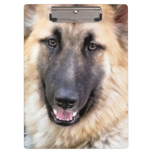 DEUTSCHE SHEPHERD KLEMMBRETT