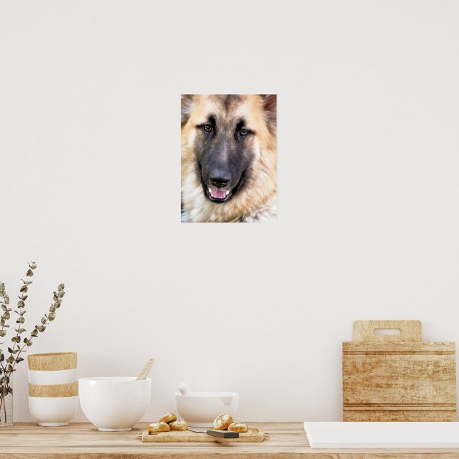 DEUTSCHE SHEPHERD POSTER (Küche)