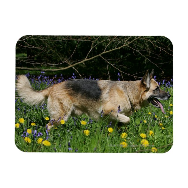 Deutscher Hirte in gelben Blumen Magnet (Horizontal)