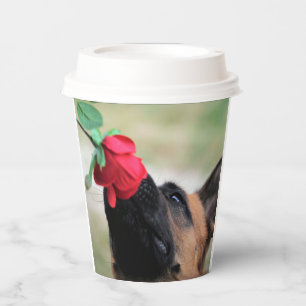 deutscher Hirte mit Rose Pappbecher