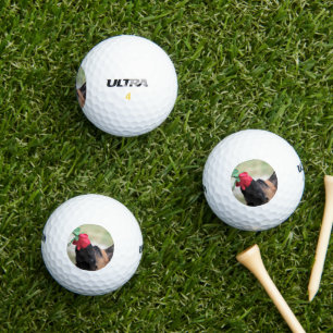 Deutscher Hirte mit Rote Rose Golfball