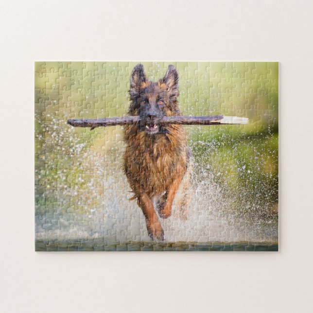 Deutscher Hirte mit Stick (Horizontal)
