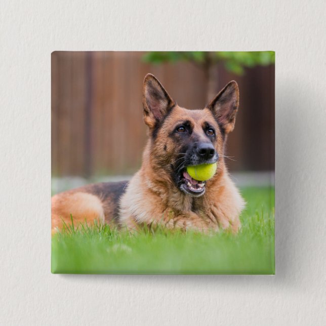 Deutscher Hirte mit Tennisball Button (Vorderseite)