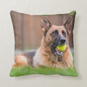 Deutscher Hirte mit Tennisball Kissen