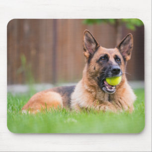 Deutscher Hirte mit Tennisball Mousepad