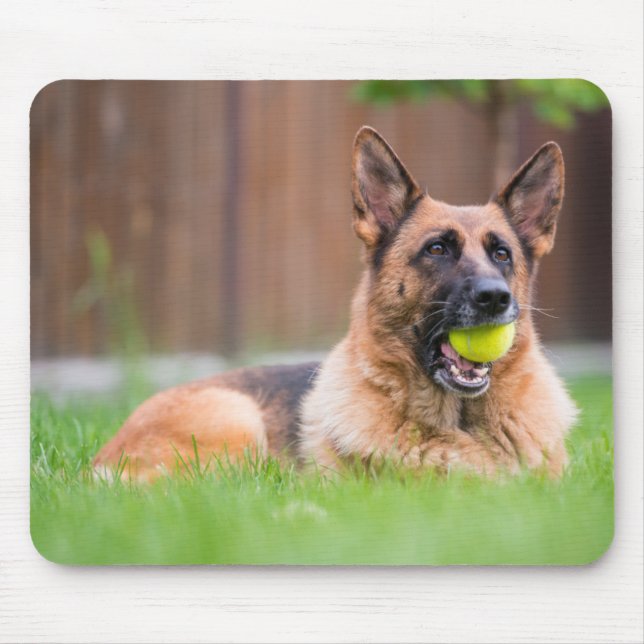 Deutscher Hirte mit Tennisball Mousepad (Vorne)