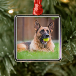 Deutscher Hirte mit Tennisball Ornament Aus Metall
