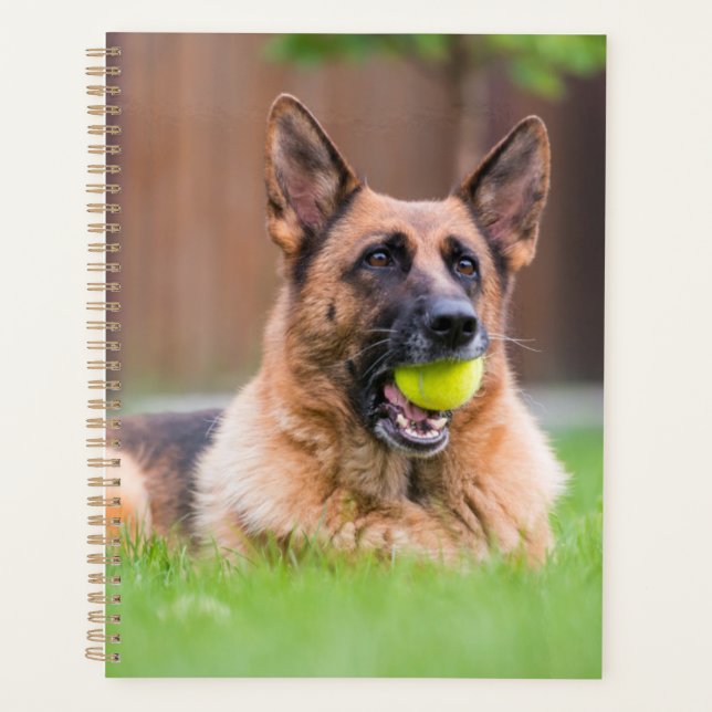 Deutscher Hirte mit Tennisball Planer (Vorderseite)