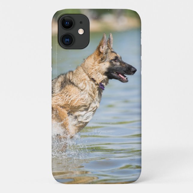 Deutscher Hirte springt ins Wasser Case-Mate iPhone Hülle (Rückseite)