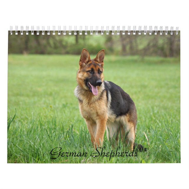 Deutscher Hirtenkalender Kalender (Titelbild)