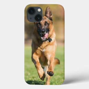 Deutscher Hirtenlauf Case-Mate iPhone Hülle