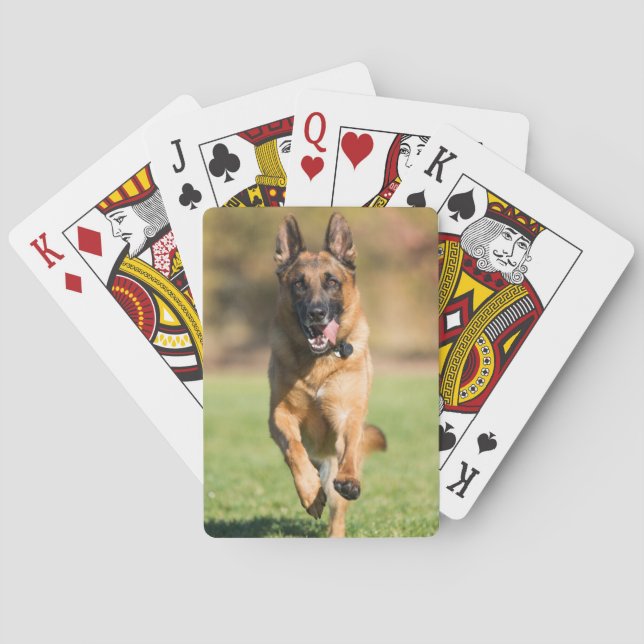 Deutscher Hirtenlauf Spielkarten (Rückseite)