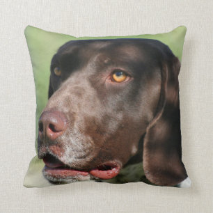 Deutscher Hund des kurzhaarigen Zeigers Kissen