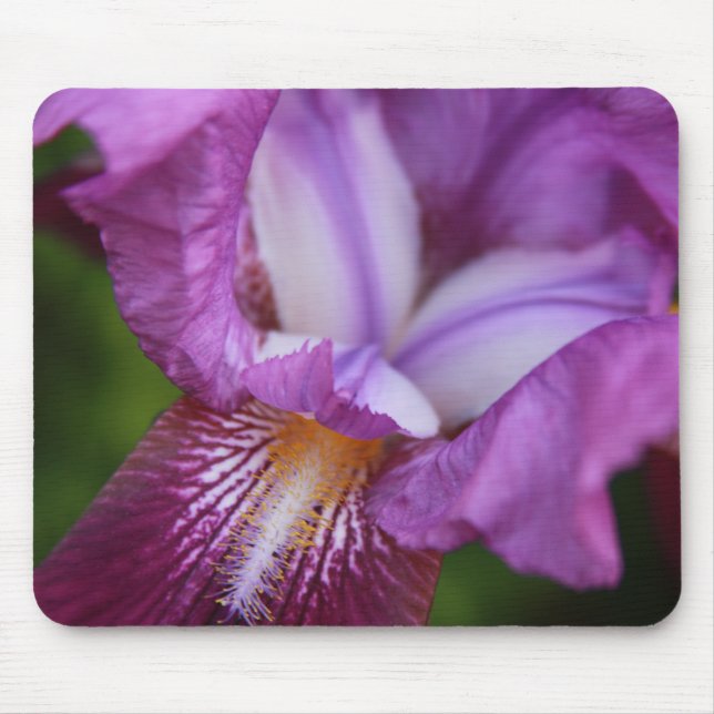 Deutscher Iris Mousepad (Vorne)