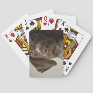 Deutscher Kurz-Haarbärlöffel Spielkarten