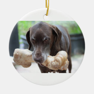 deutscher kurzhaariger Zeiger mit dem Knochen Keramik Ornament