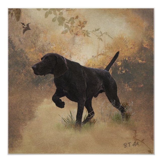 Deutscher Kurzläufer bereit zur Jagd auf Geschenkb Poster (Vorderseite)
