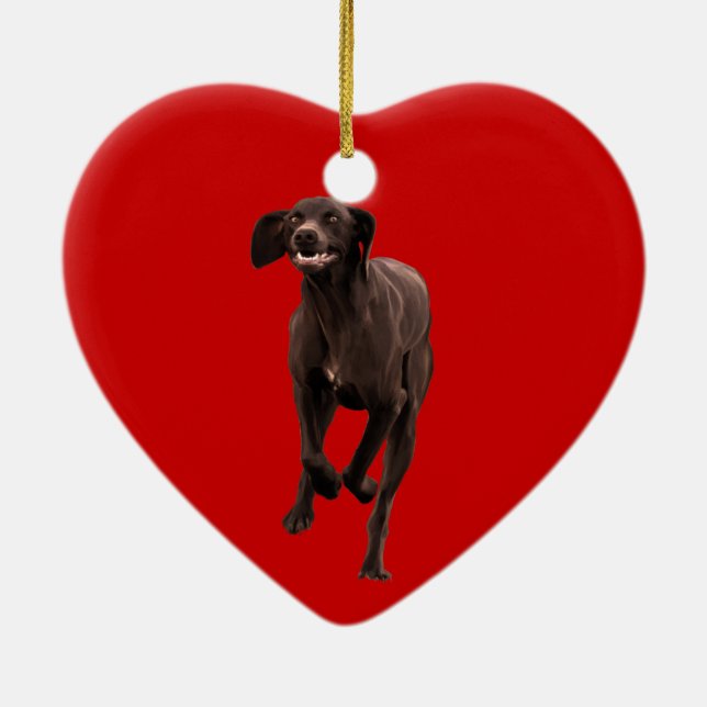 Deutscher Kurzläufer Keramik Ornament (Hinten)