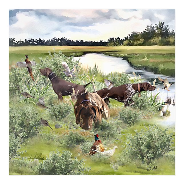 Deutscher Kurzzeiger Fotodruck (Vorne)