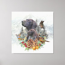 Deutscher Kurzzeiger im Winter