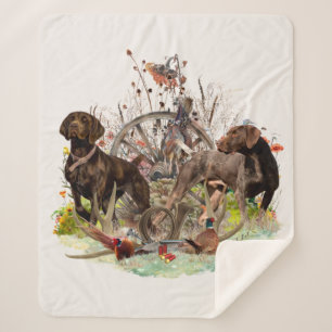 Deutscher Kurzzeiger Sherpadecke