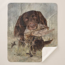 Deutscher Langhaariger Pointer