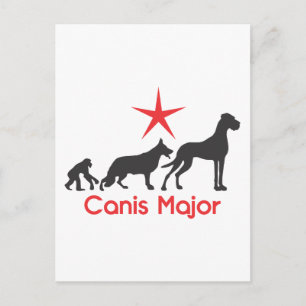 Deutscher Mastiff Canis Major Postkarte