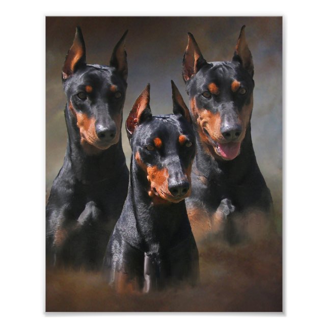 Deutscher Pinscher Fotodruck (Vorne)