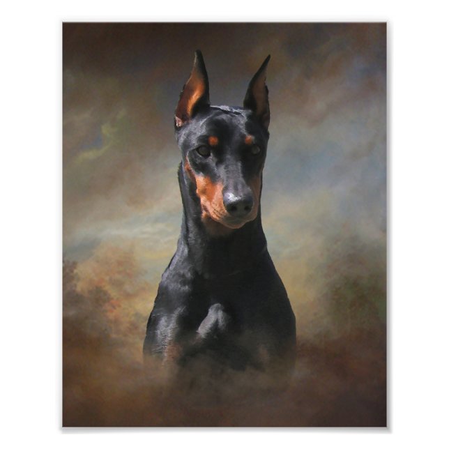 Deutscher Pinscher Fotodruck (Vorne)