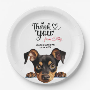 Deutscher Pinscher Pappteller