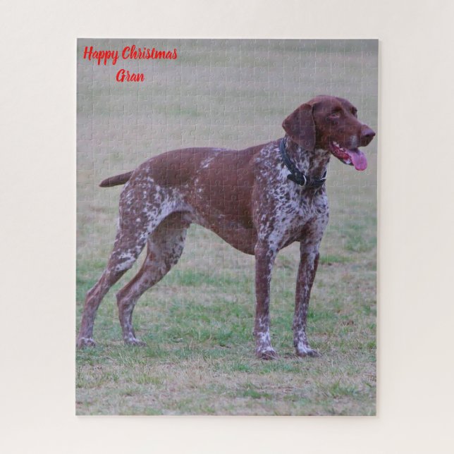 Deutscher Pointer (Vertikal)