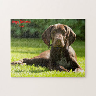 Deutscher Pointer Hund.