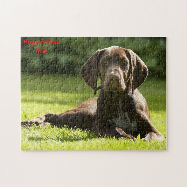 Deutscher Pointer Hund. (Horizontal)