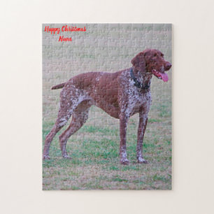 Deutscher Pointer Hund.