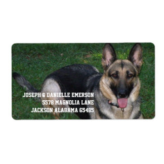 Deutscher Schäferhund
