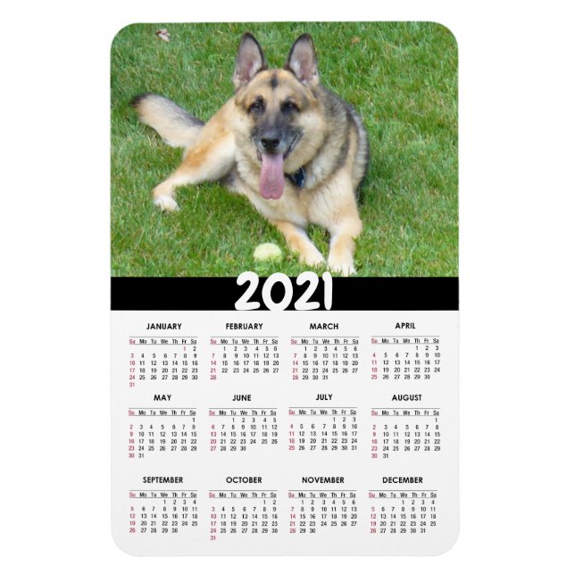Deutscher Schäferhund | 2021 Magnet für den benutz (Vertikal)