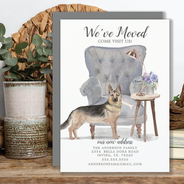 Deutscher Schäferhund | Ankündigung der Beförderun (Von Creator hochgeladen)