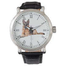 Deutscher Schäferhund