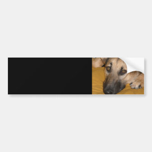 Deutscher Schäferhund-Aufkleber Autoaufkleber