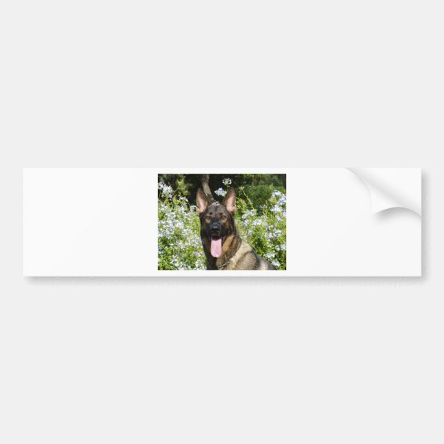 Deutscher Schäferhund Autoaufkleber (Vorne)