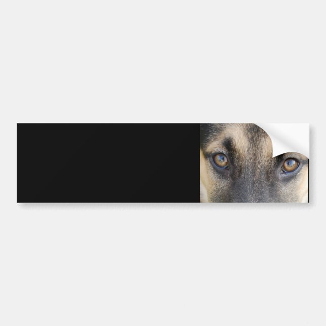 Deutscher Schäferhund-Autoaufkleber Autoaufkleber (Vorne)