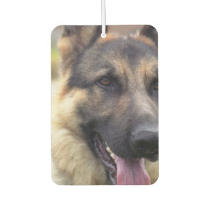 Deutscher Schäferhund Autolufterfrischer