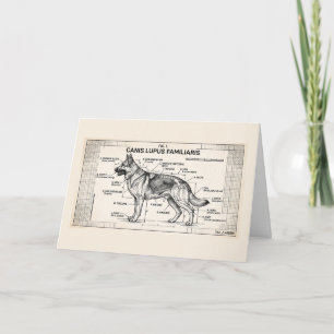 Deutscher Schäferhund Bauplan Karte